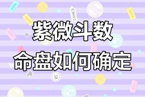 紫薇斗数定盘软件