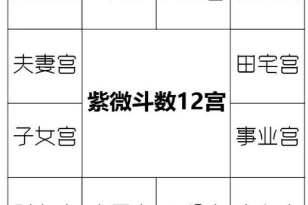 紫薇斗数子女宫在子