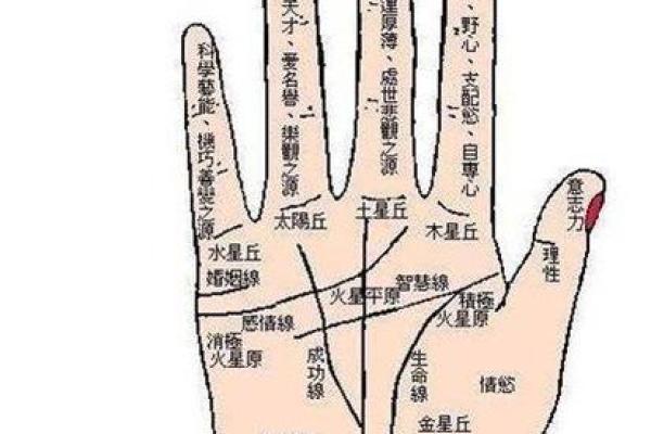 怎样看手纹给自己算命女 手相看你的性格特征