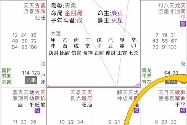 紫薇斗数武曲详解