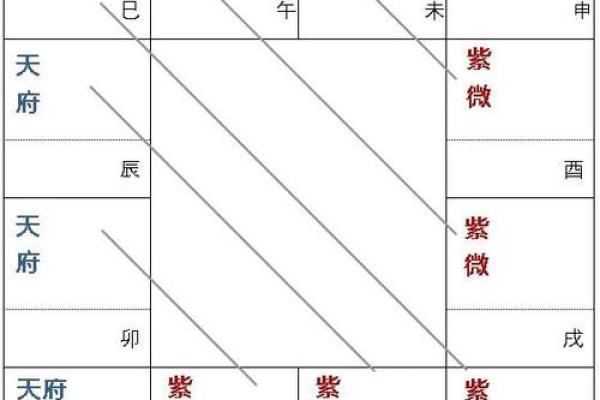 紫薇斗数主星相同
