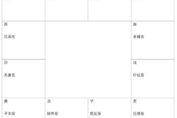 紫薇斗数宫主