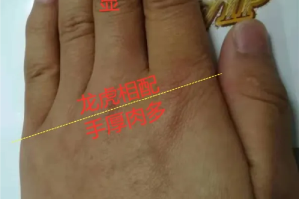 算命里发福啥意思