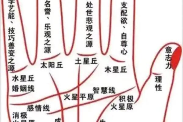 女人右手掌纹图解算命婚姻线 咋看女人右手的婚姻线
