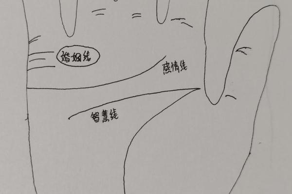 看相算命大全图解婚姻