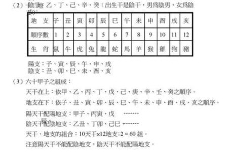 紫薇斗数舞曲