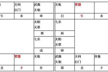 流年考运紫薇斗数