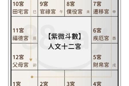 紫薇斗数怎么看财运