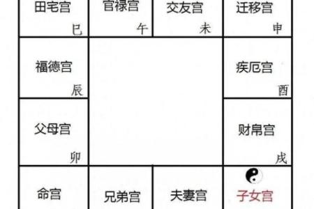 紫薇斗数 命盘是怎么看