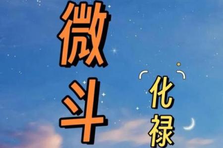 紫薇斗数自化禄