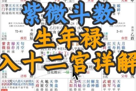 紫薇斗数入内局