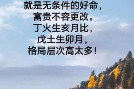 真正格局高的八字格局