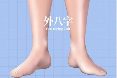 外八字轮