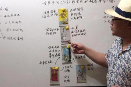 塔罗测试：今年你最大的收获是什么？