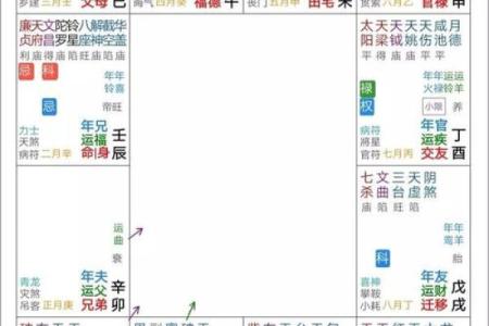 紫微星入命宫与其他星曜之关系分析#紫微斗数教学