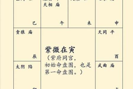 紫薇斗数主星择业