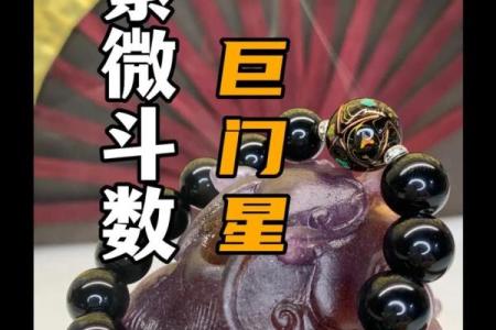 紫微斗数之诸星值限年运气推断：巨门星之年