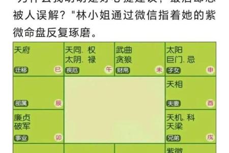 紫薇斗数+巨门星