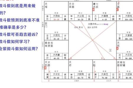 紫薇斗数律师
