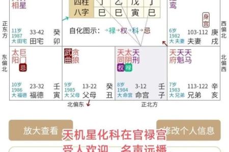紫微斗数里的禄是什么意思 紫薇禄存星？