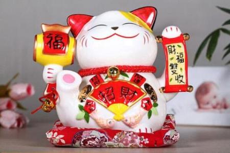 家里可以养新猫吗吉凶测试