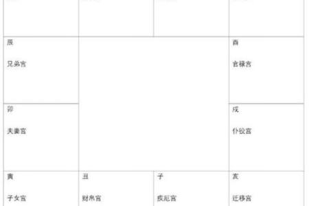 紫薇斗数宫主