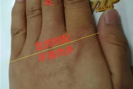 算命里发福啥意思