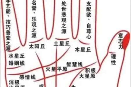 女人右手掌纹图解算命婚姻线 咋看女人右手的婚姻线
