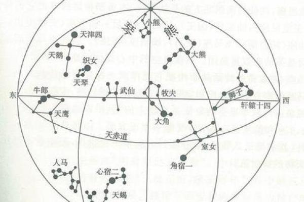 紫薇星盘看天盘还是地盘