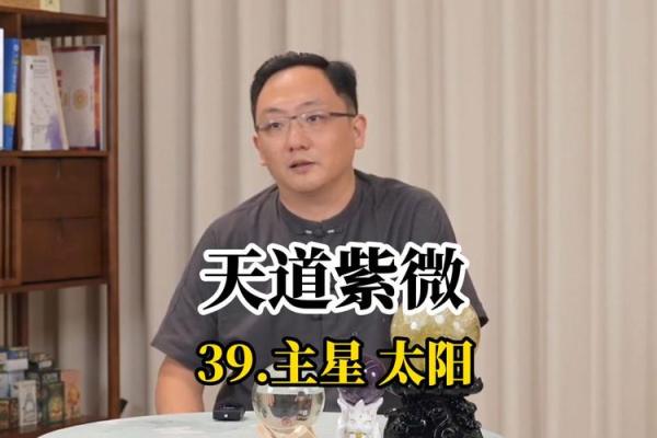 紫薇斗数命宫主星太阳