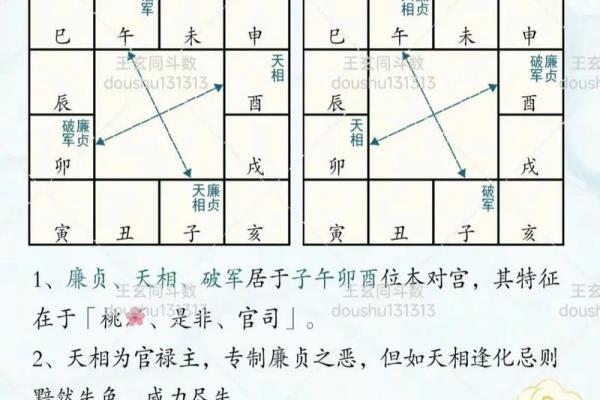 仲易紫薇斗数怎么样