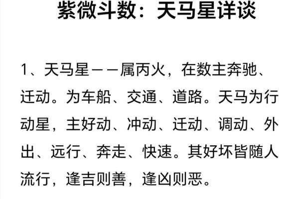 紫微斗数之基本术语