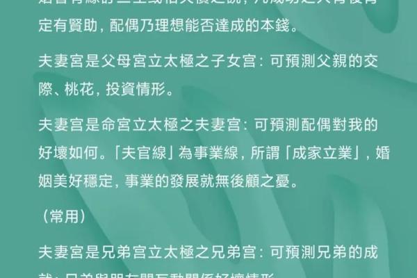 紫薇斗数大太极