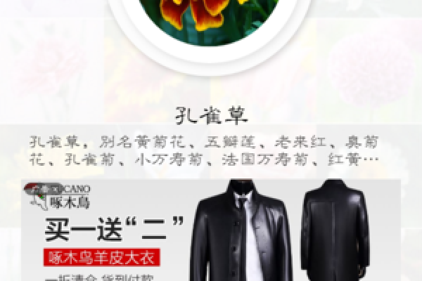 算命的二维码程序