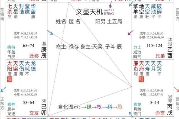 紫薇斗数怎么看生几个小孩