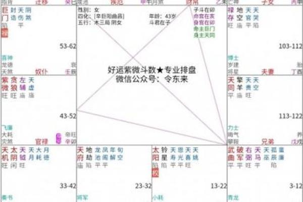 家境好的紫薇斗数