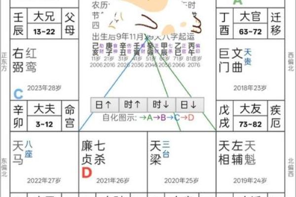 紫薇斗数算要付费