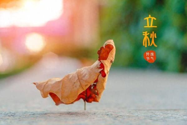 立秋八字互补  立秋属于阴历七月吗