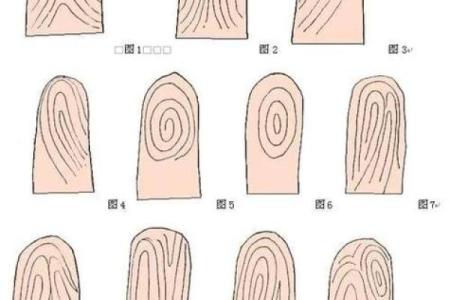看手相算命图解：指纹