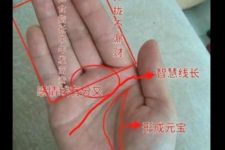 教你怎么成为旺夫的的女人，面相算命图解