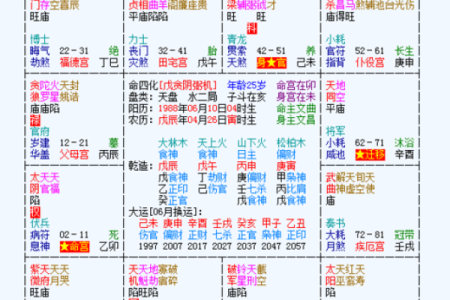 一梦江湖中紫微斗数怎么玩 一梦江湖武当紫薇九耀？
