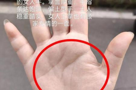 手相图解大全女 右手 算命 手掌红润柔软
