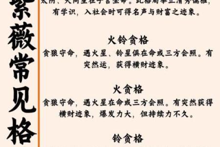 紫薇斗数有钱女命