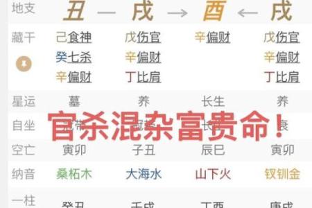 八字官杀混杂