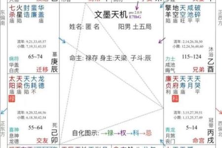 紫薇斗数怎么看生几个小孩