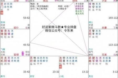 家境好的紫薇斗数