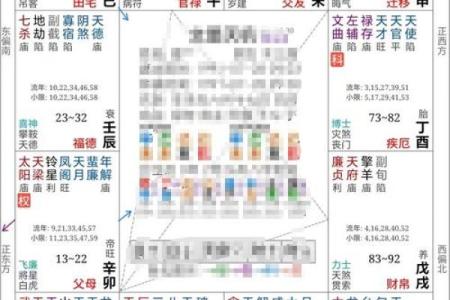 紫薇斗数算要付费