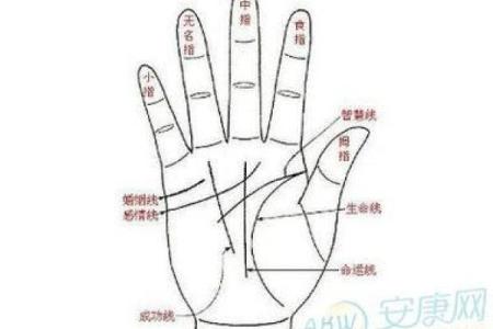 梦见看手相算命