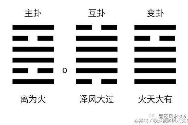 商业本质共通下的风水秘诀揭秘