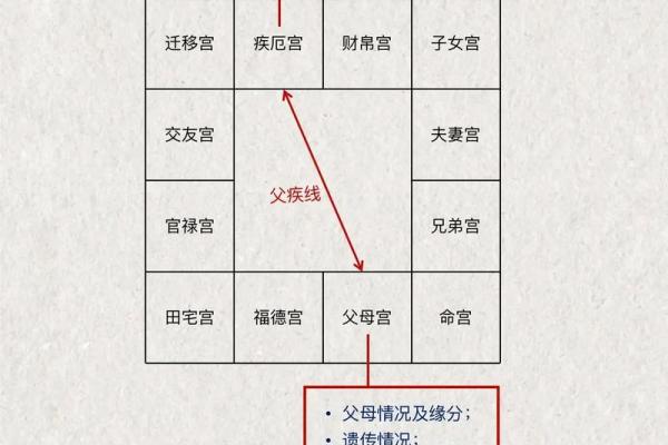 紫薇斗数紫薇梦